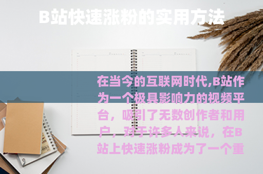 B站快速涨粉的实用方法