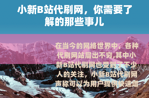 小新B站代刷网，你需要了解的那些事儿