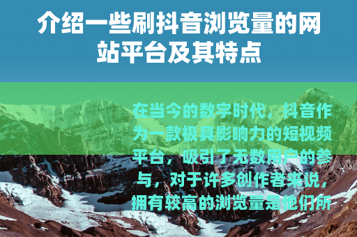 介绍一些刷抖音浏览量的网站平台及其特点