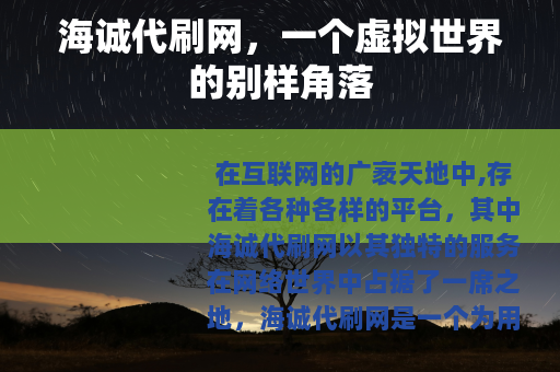 海诚代刷网，一个虚拟世界的别样角落