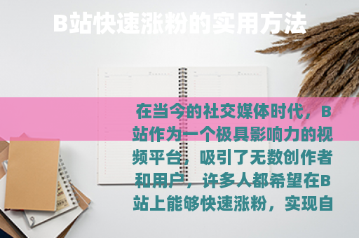 B站快速涨粉的实用方法