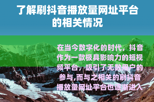 了解刷抖音播放量网址平台的相关情况