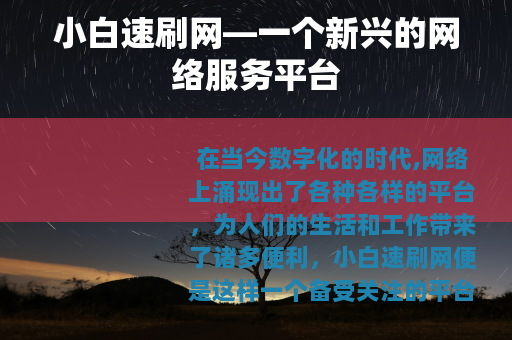 小白速刷网—一个新兴的网络服务平台