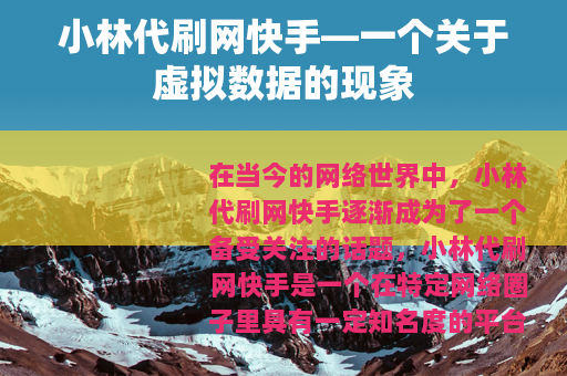 小林代刷网快手—一个关于虚拟数据的现象