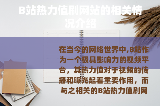 B站热力值刷网站的相关情况介绍