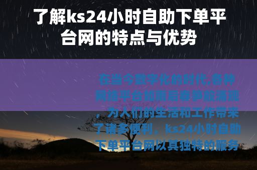 了解ks24小时自助下单平台网的特点与优势
