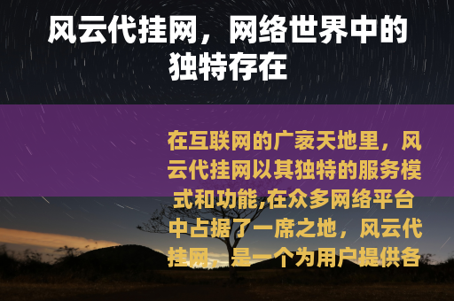 风云代挂网，网络世界中的独特存在
