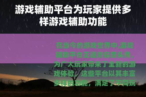 游戏辅助平台为玩家提供多样游戏辅助功能
