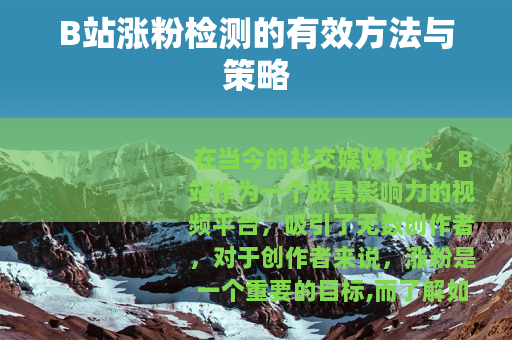B站涨粉检测的有效方法与策略