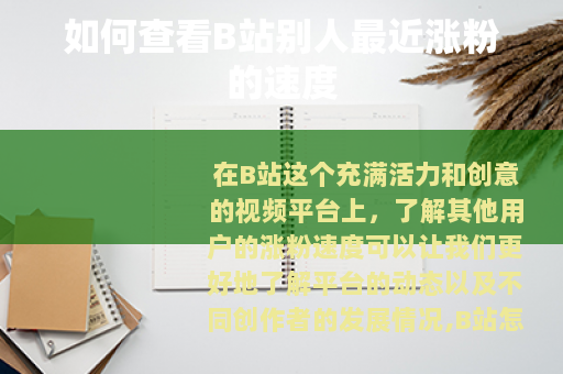 如何查看B站别人最近涨粉的速度