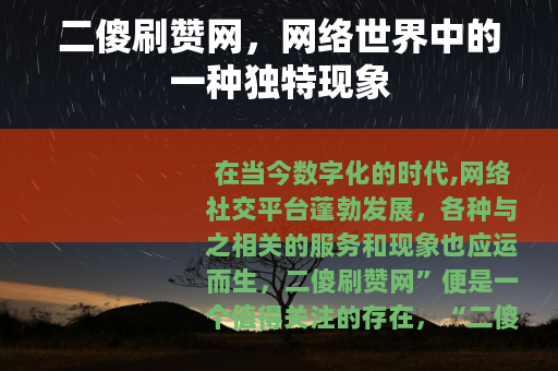二傻刷赞网，网络世界中的一种独特现象