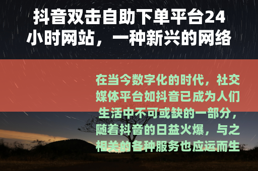 抖音双击自助下单平台24小时网站，一种新兴的网络服务模式