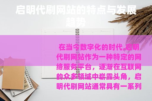 启明代刷网站的特点与发展趋势