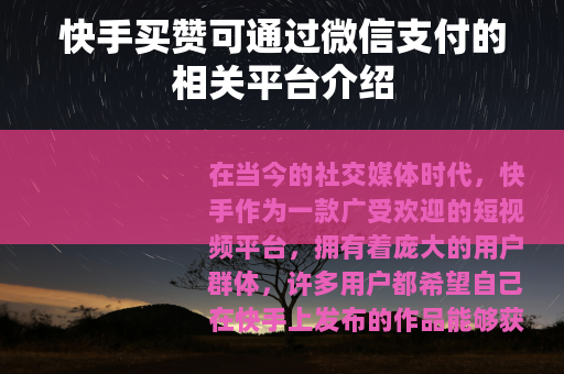 快手买赞可通过微信支付的相关平台介绍
