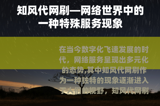 知风代网刷—网络世界中的一种特殊服务现象