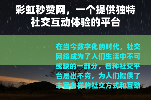 彩虹秒赞网，一个提供独特社交互动体验的平台