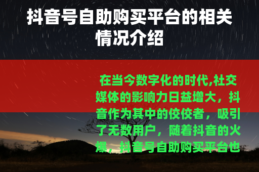 抖音号自助购买平台的相关情况介绍