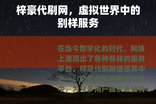 梓豪代刷网，虚拟世界中的别样服务