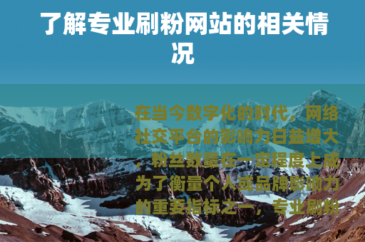 了解专业刷粉网站的相关情况
