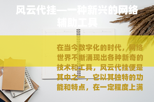 风云代挂—一种新兴的网络辅助工具