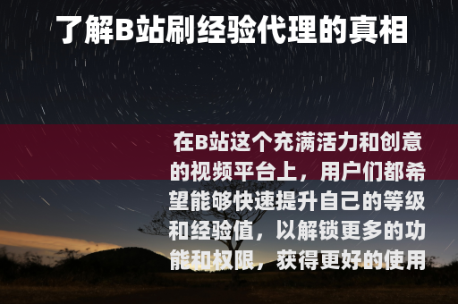 了解B站刷经验代理的真相
