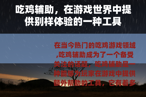 吃鸡辅助，在游戏世界中提供别样体验的一种工具