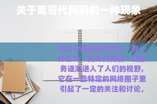 关于离哥代网刷的一种现象