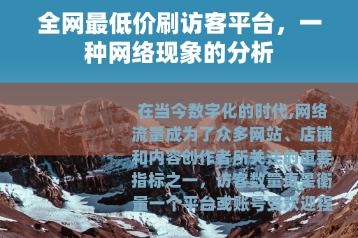 全网最低价刷访客平台，一种网络现象的分析