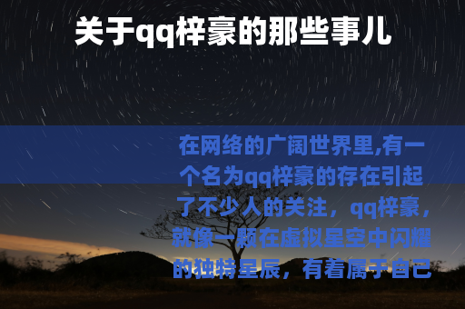 关于qq梓豪的那些事儿