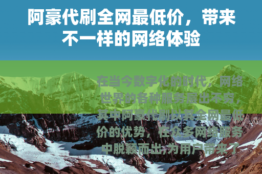 阿豪代刷全网最低价，带来不一样的网络体验