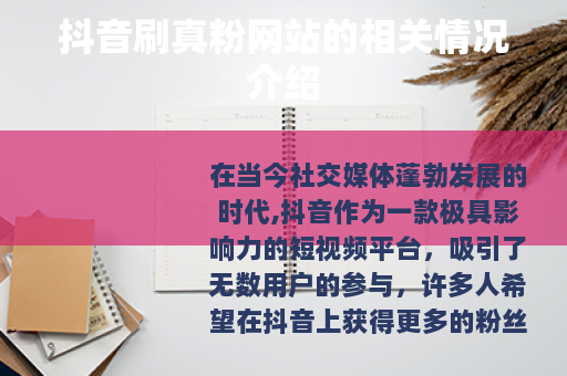 抖音刷真粉网站的相关情况介绍