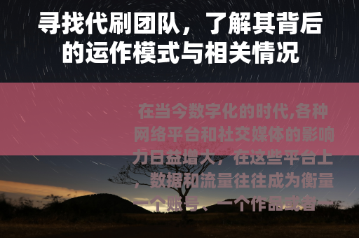 寻找代刷团队，了解其背后的运作模式与相关情况