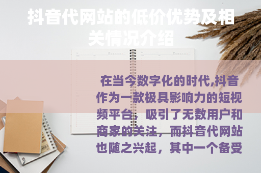 抖音代网站的低价优势及相关情况介绍
