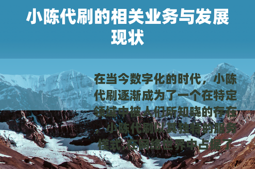 小陈代刷的相关业务与发展现状