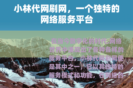 小林代网刷网，一个独特的网络服务平台