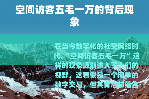 空间访客五毛一万的背后现象