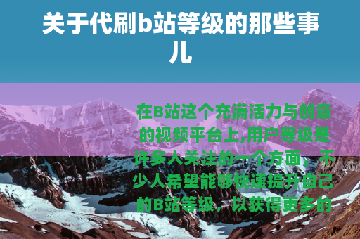 关于代刷b站等级的那些事儿