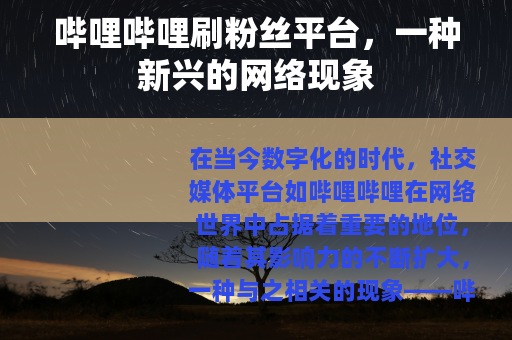 哔哩哔哩刷粉丝平台，一种新兴的网络现象