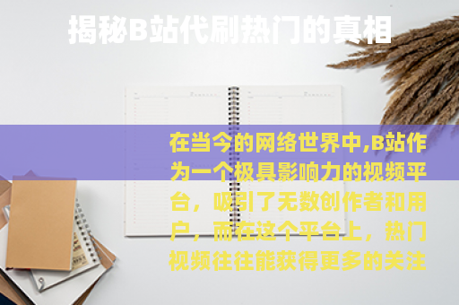 揭秘B站代刷热门的真相