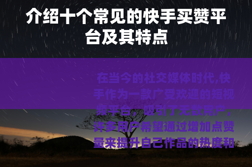 介绍十个常见的快手买赞平台及其特点