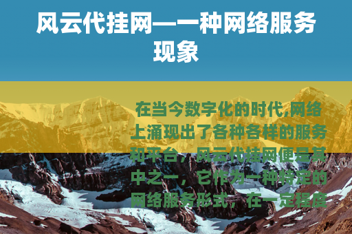 风云代挂网—一种网络服务现象