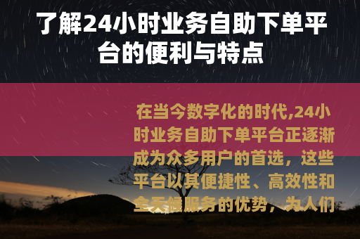 了解24小时业务自助下单平台的便利与特点