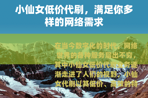 小仙女低价代刷，满足你多样的网络需求