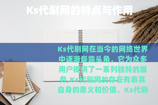 Ks代刷网的特点与作用