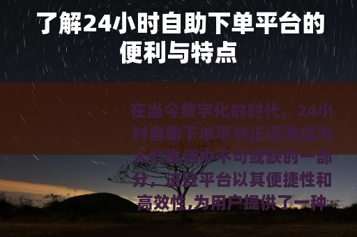 了解24小时自助下单平台的便利与特点