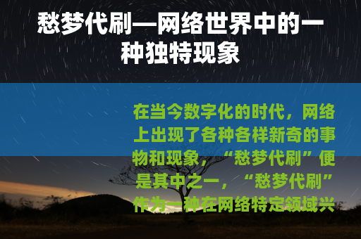 愁梦代刷—网络世界中的一种独特现象