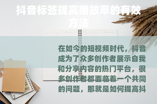 抖音标签提高播放率的有效方法