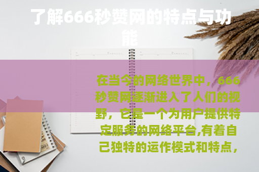 了解666秒赞网的特点与功能