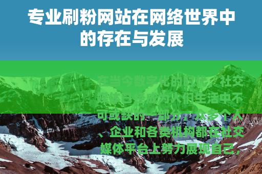 专业刷粉网站在网络世界中的存在与发展
