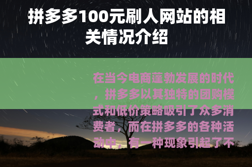 拼多多100元刷人网站的相关情况介绍